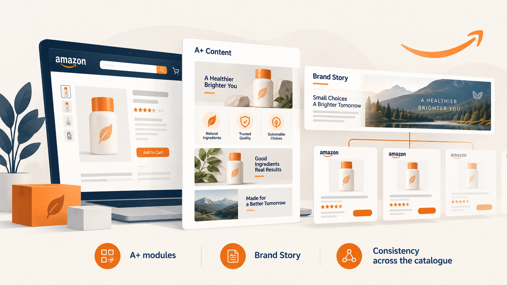 A+ content and Brand Story: section banner