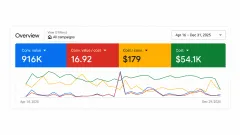 Google Ads overview, Apr 16 to Dec 31, 2025: $916K conversion value, 16.92 ROAS, $179 cost per conversion, $54.1K cost.