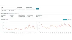 Amazon Sales Dashboard for January 2026 showing the sales snapshot and the daily units and sales charts.